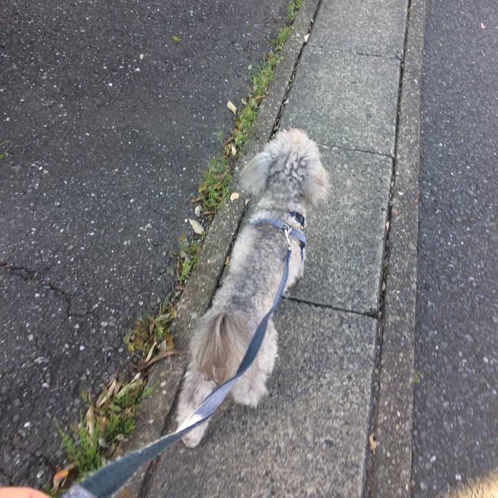 Da11224d adc8 4dfd 9de5 125f29915eac