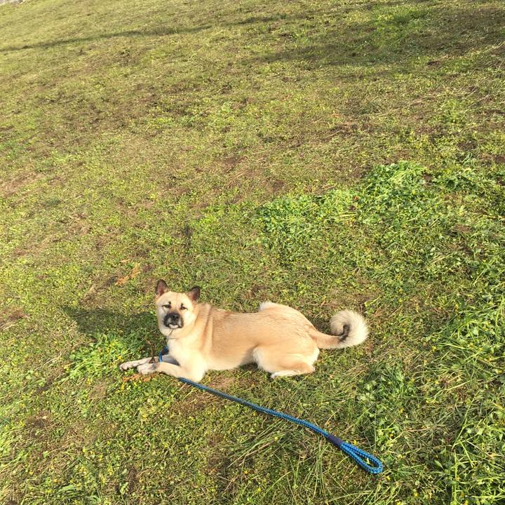 Da1124ca 8f49 44e8 9ea6 c936bcb9f233