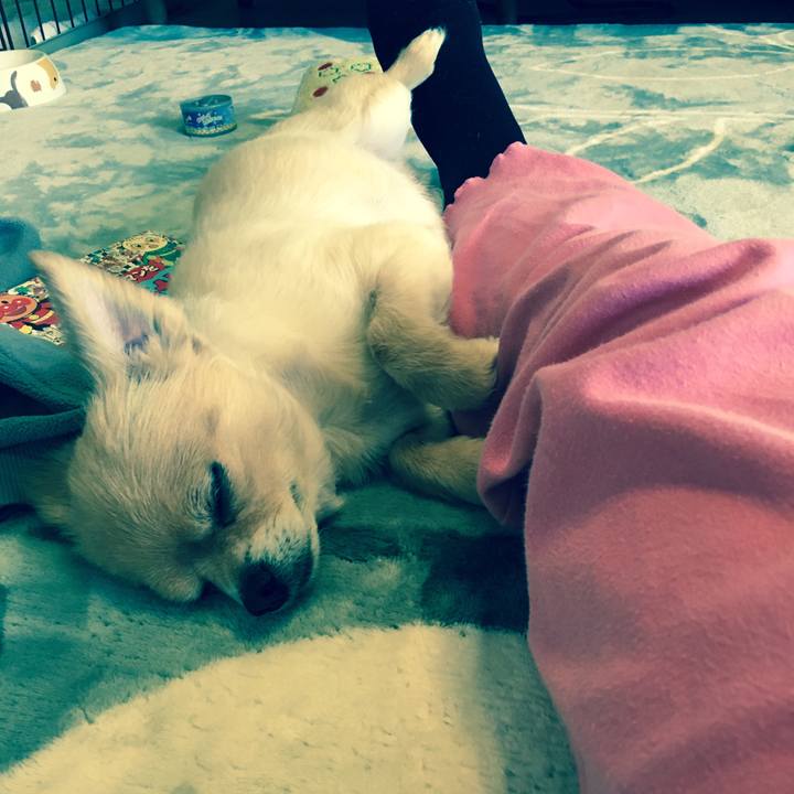 Da1181f2 e5a3 4498 8335 7ed8bdbf93a5