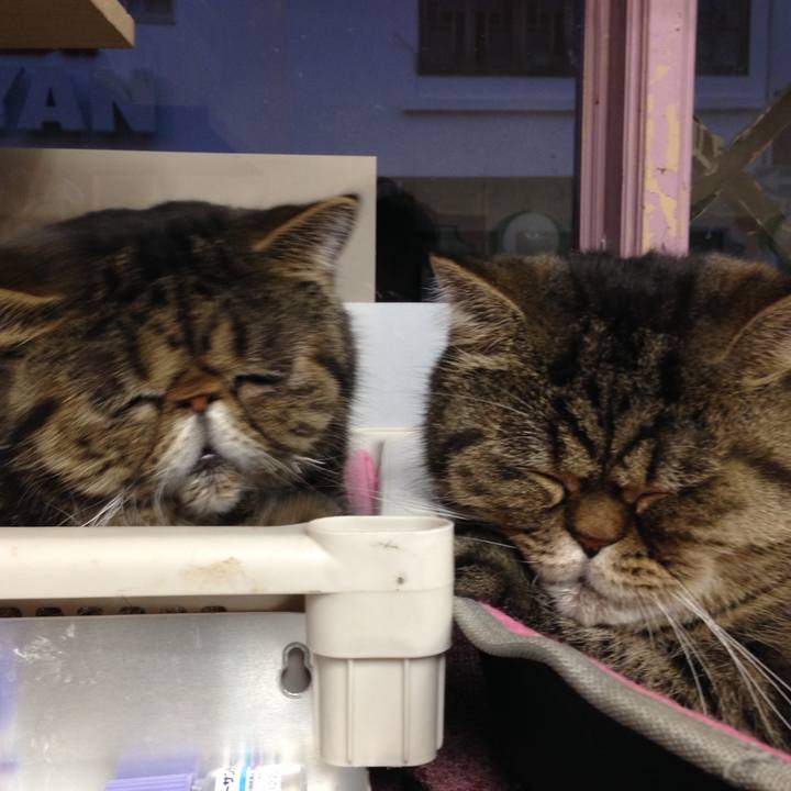 Da118a98 a2fe 4b51 b5bd 882887fd8c88