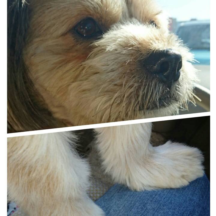 Da1199a6 b342 4504 8536 a20feabdeccd