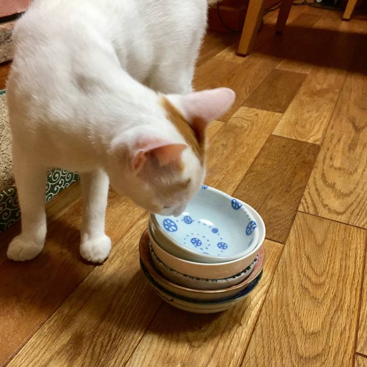 Da11a833 1fb9 442c b8cc 5c5b2daa3bcc