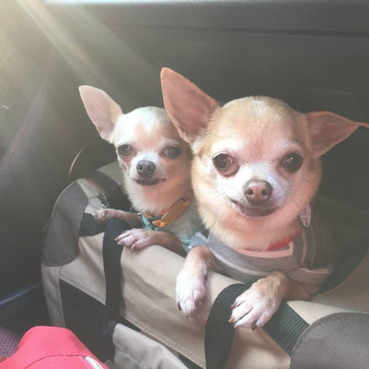 Da11e3ba f89d 45b4 b121 d10555a8166c