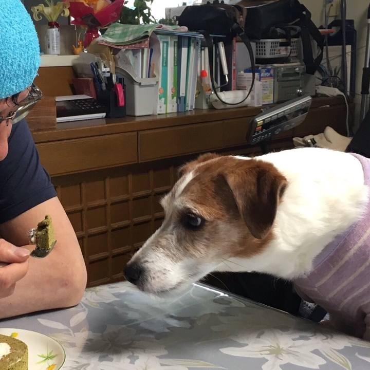 Da11f5df 9ab8 4293 90ff d621920bf71a