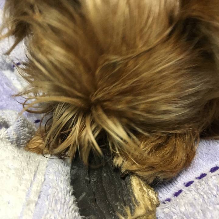 Da1244bf f2e6 4539 a8dc 19aaa7881544