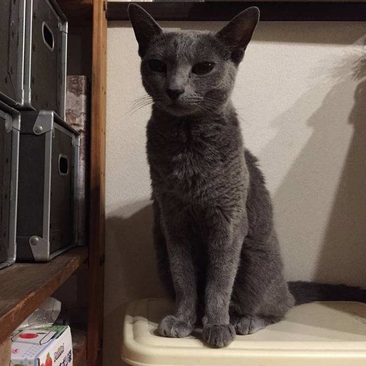 Da126bc6 f845 4b14 9005 3fd235d36570