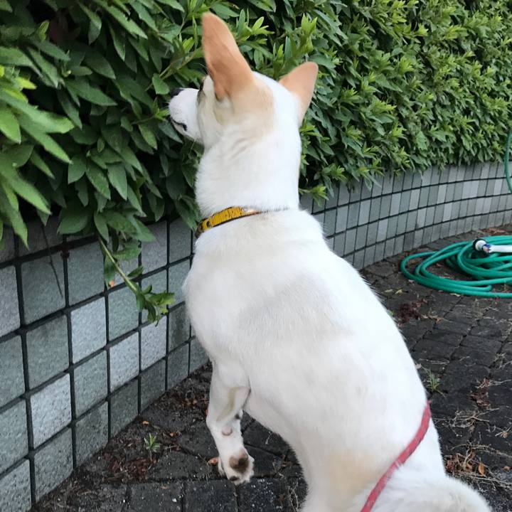 Da12eeeb e06b 483c bbfb d4d2c19333d4