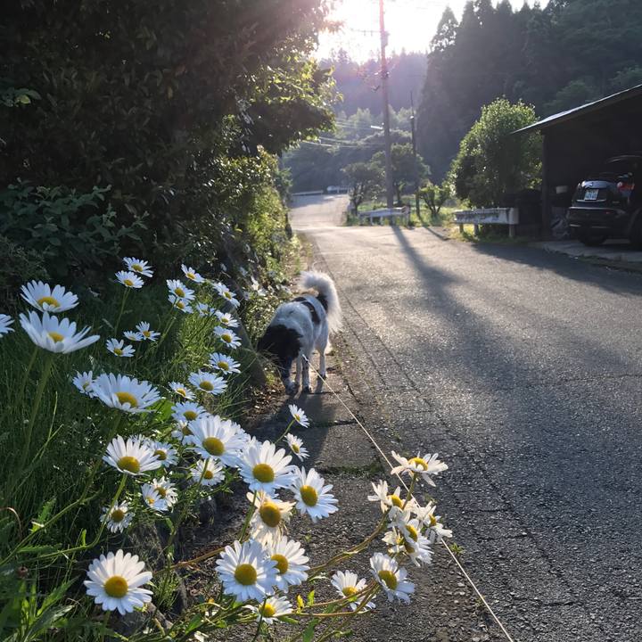 Da1319c7 5870 4bf1 b2ab 04a2b3417062