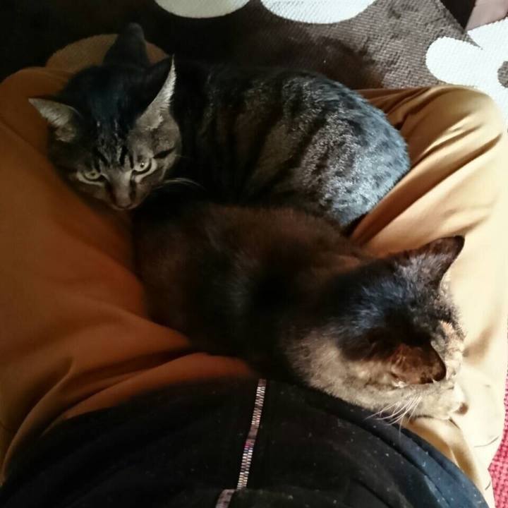 Da133cee 9fe1 4dd6 8e93 c94c4d3b661f