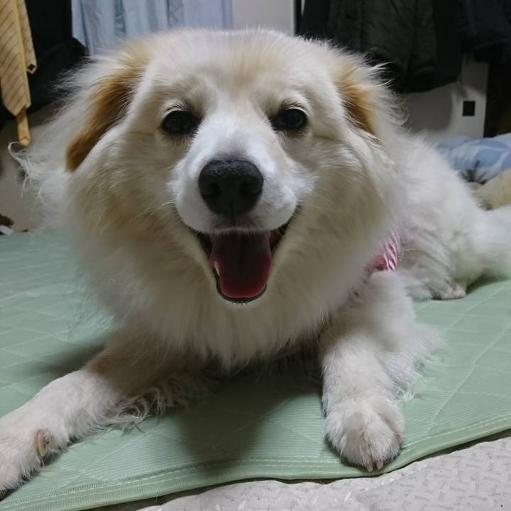 Da1382e1 e563 4fd2 b6b6 1cbc9a5687c4