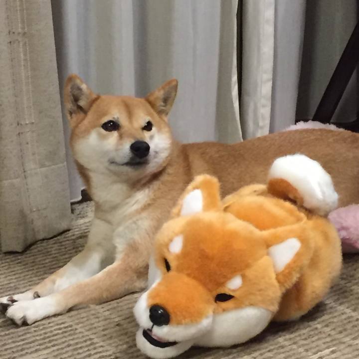 Da1395db c7c3 4ee0 a0d0 4f491112f5d9