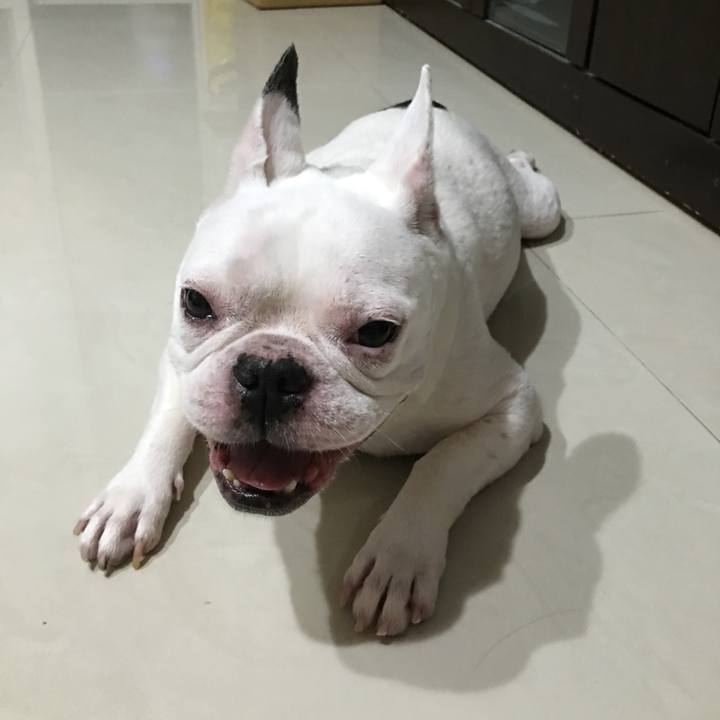 Da146e64 dccf 4e57 81ed 8e46e56ba53e