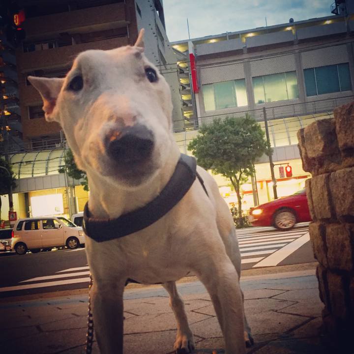 Da1488b5 ad1f 42e2 8a27 856003793ff2