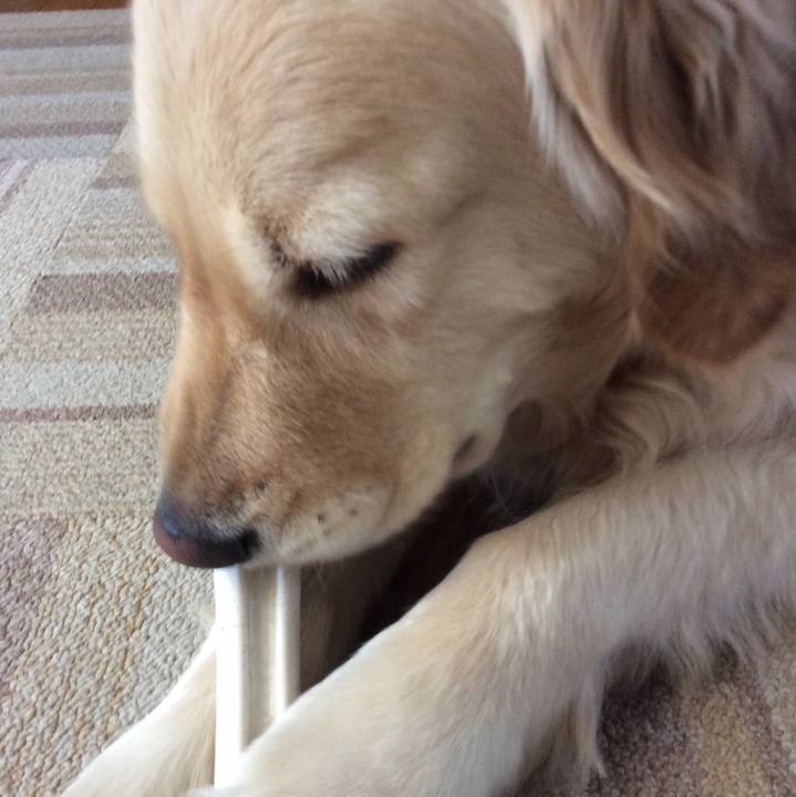 Da14fdaa 24c2 4c30 8fa4 3bd59fdbc434