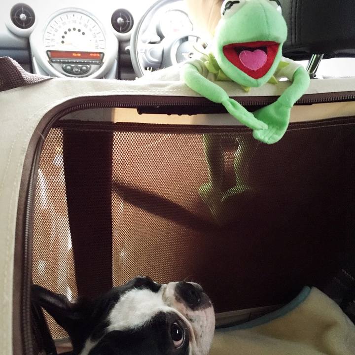 Da1621a0 f7d6 42cf 8cc9 2508bdada8f0