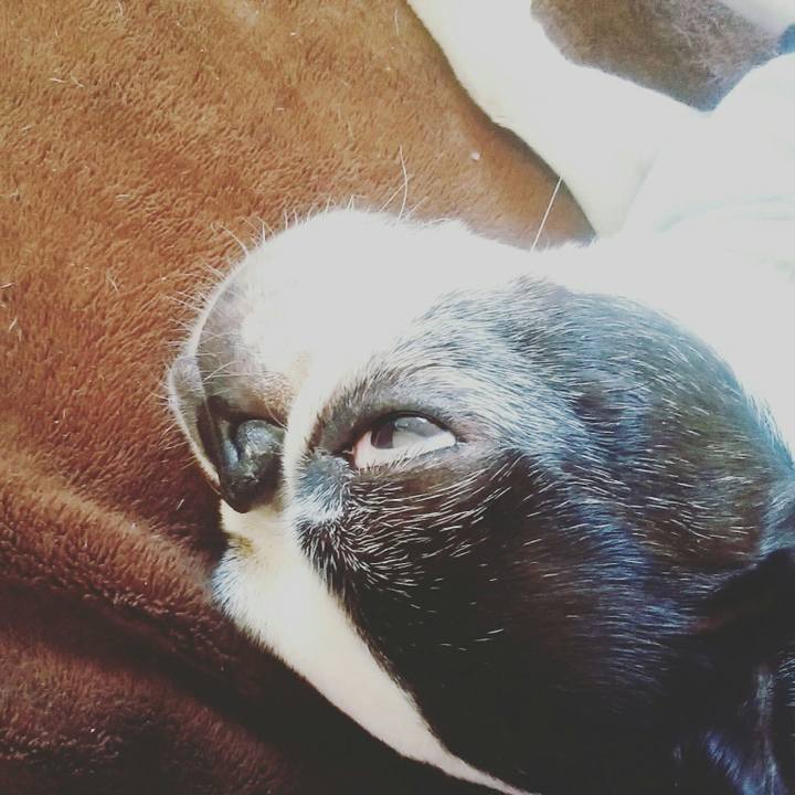 Da162aa5 fac6 4c0a af4b a36161455045