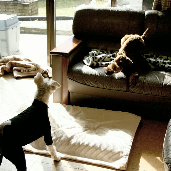 Da1654e5 f105 42d8 a953 7becf064def6