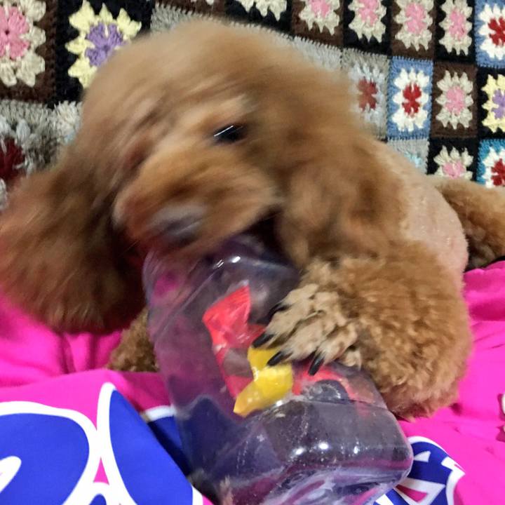 Da16d897 504c 41e7 baea 94eeeaad90eb