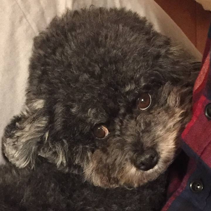 Da17aca9 7a91 4758 a9a8 1f6de80c5b06