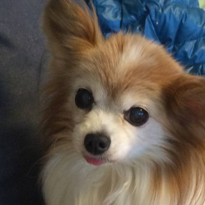 Da17c810 4f11 494f ba0f 21c7c86a5007