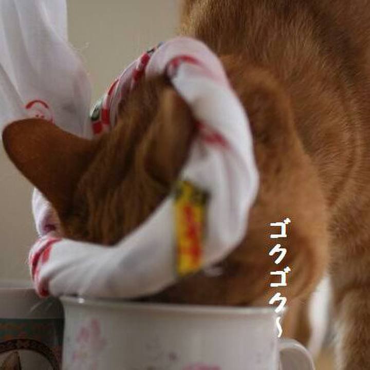 Da17eac9 9a38 48bb b609 3b2ad17ac2bf