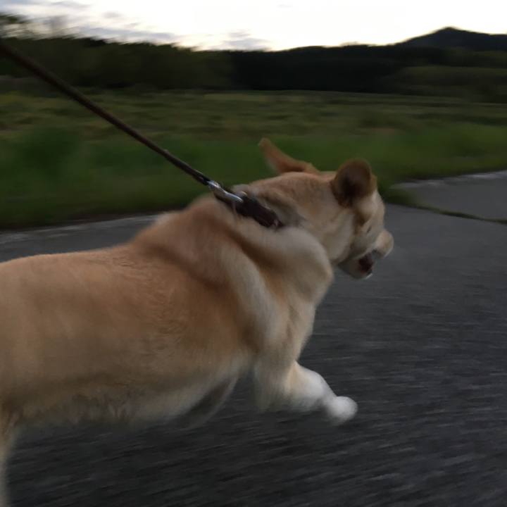 Da180244 c812 4a44 be72 2f8a4fc8525e