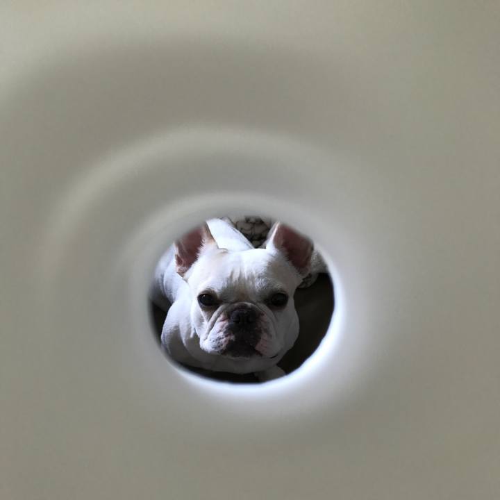 Da180a1e 9ef5 4f50 abac ab3e15d82e26