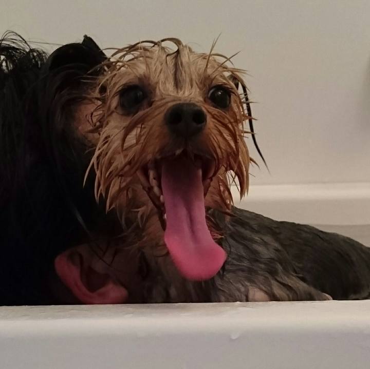 Da186562 087e 4f81 be65 2d3ac6a869b4