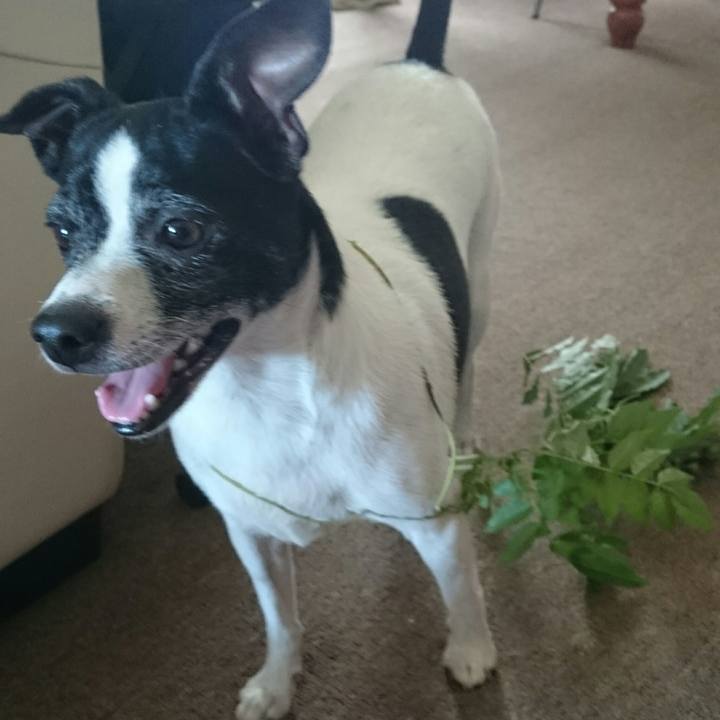 Da18702d b3cb 47a1 8a76 c15289a8c247