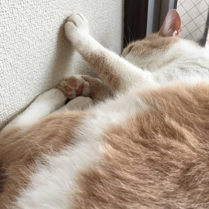 Da19fe6f 6c97 4294 92fe 7ecc1bc28189