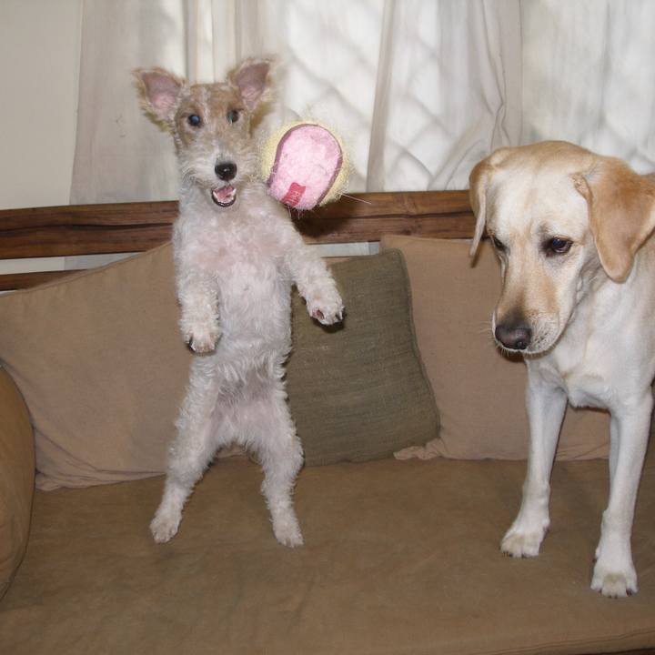 Da1a2cff 8c42 4daa 9f09 f33d46b117c9