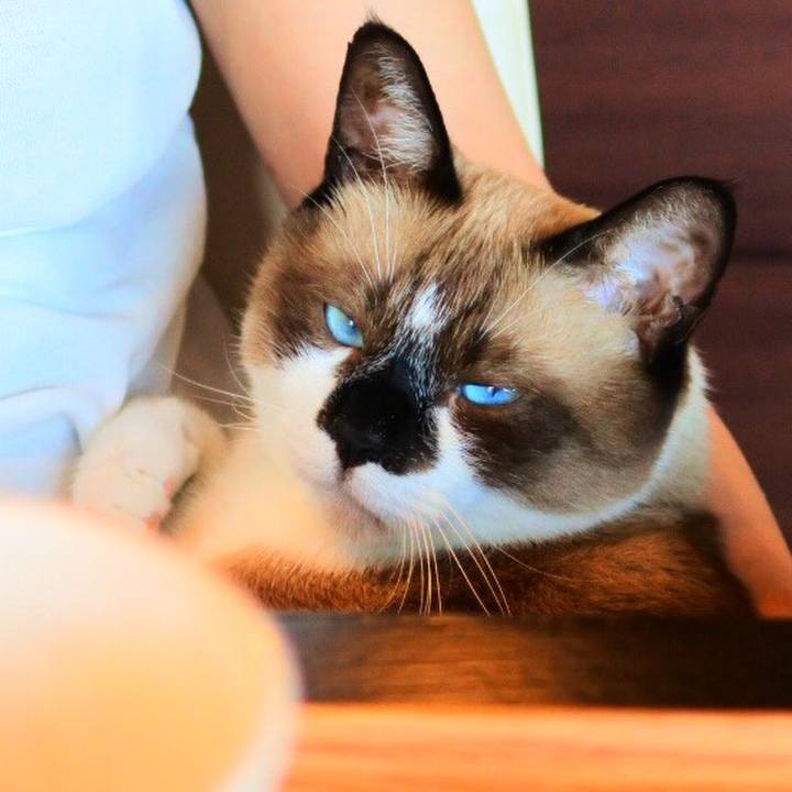 Da1a607e 2509 4219 b090 4a10f8781a51