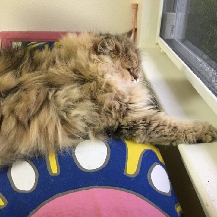 Da1a8594 d6f9 48be a298 018a205eb9cc