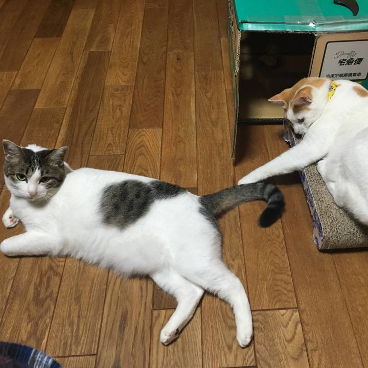 Da1ab9b7 307b 4d7d 9de5 4deb12fb2c03