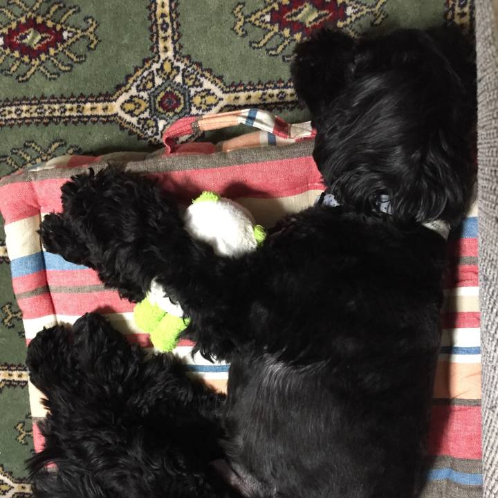 Da1b0ee0 3edc 42fc 9212 f774643e0829