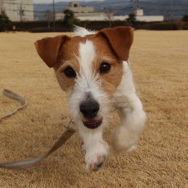 Da1b4567 2014 43e3 8db6 5f0bc2beb137