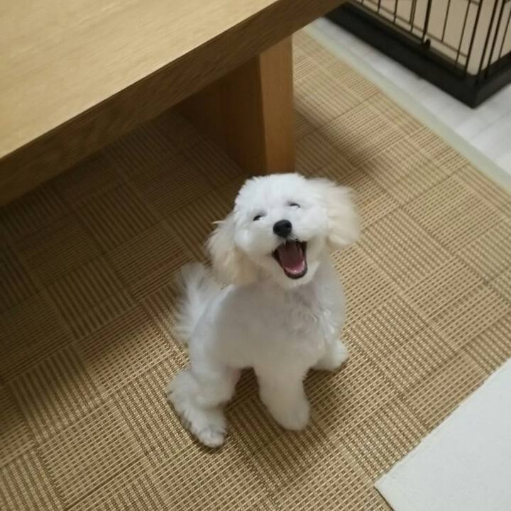 Da1ba49b d163 4453 b1ff 1b0a441737cb