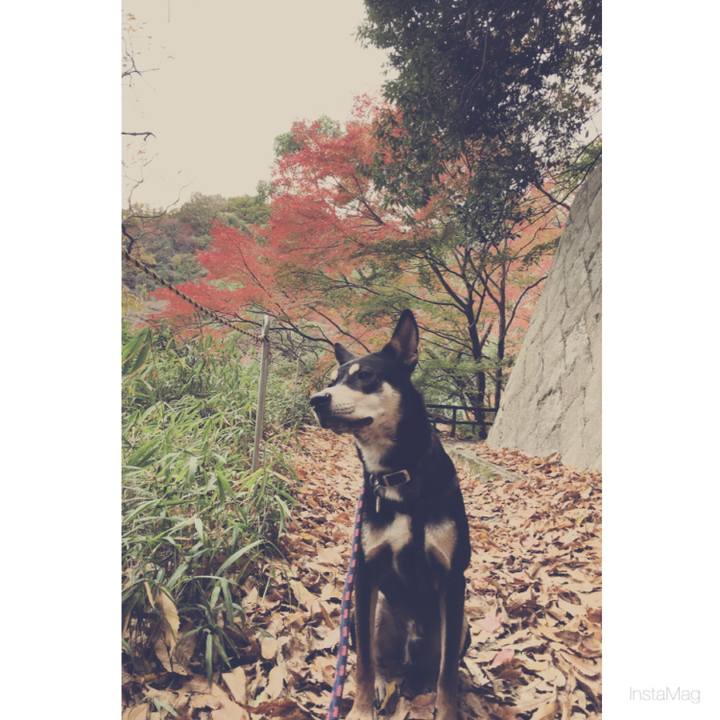 Da1be502 c74b 4ed4 8f45 eae5d6c39c50