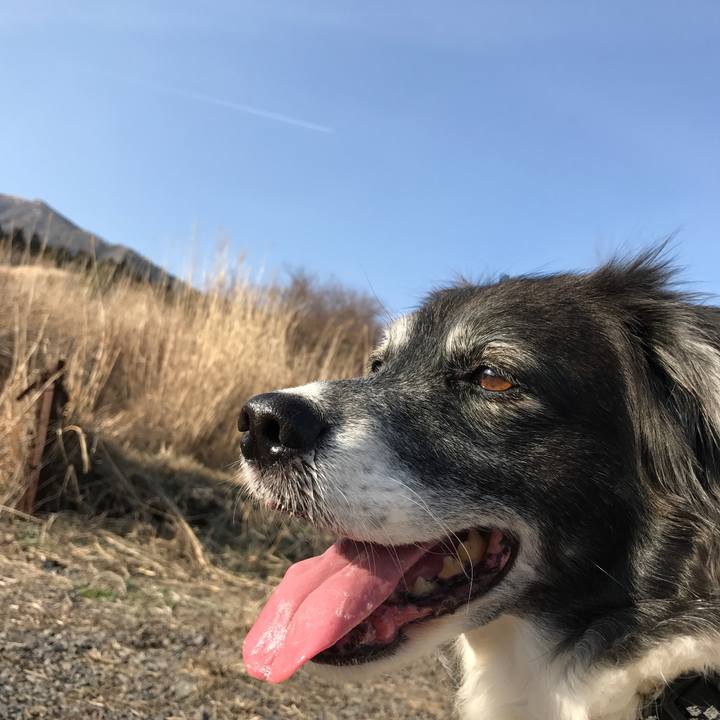 Da1c28f8 17c2 41a1 9740 82a6141b9cee