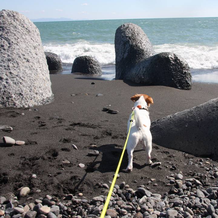 Da1cc1af 0b63 4c0c 9434 c175bd4e8326