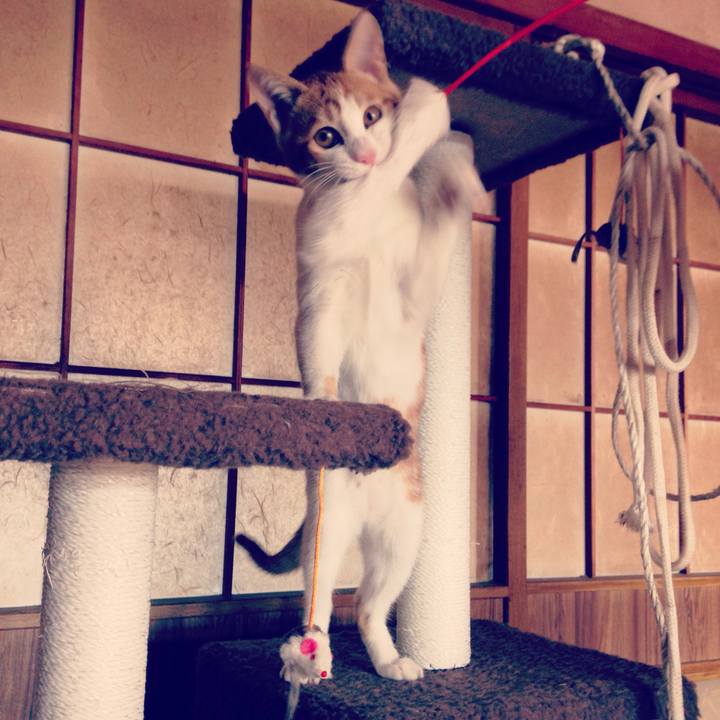 Da1cd8c5 b718 46e6 9842 e5093ef4711b