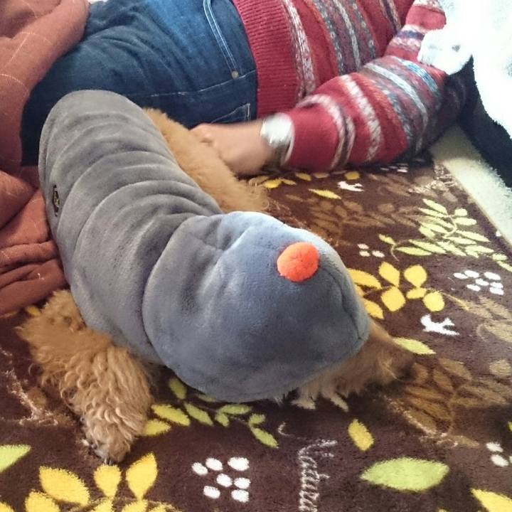 Da1cedc2 4d77 484d bd82 308561e41cc7