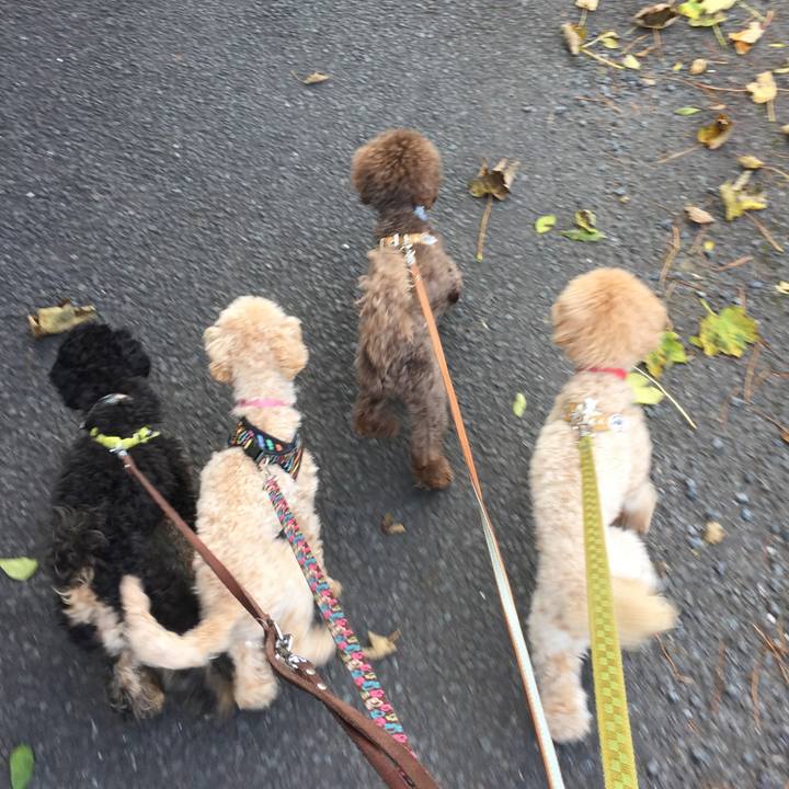 Da1cf22f a0ac 4904 999b b5111a45e608