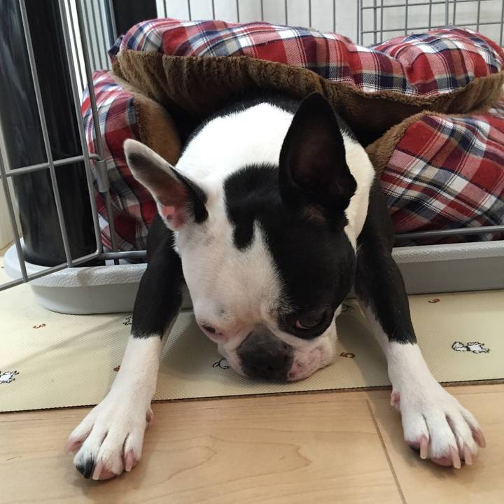 Da1d1673 6788 45d2 b2c0 babcef9e43ae