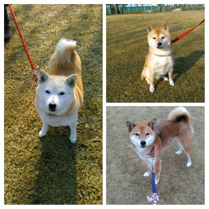 Da1d6cef 8abc 43d3 b490 7ca815769cad