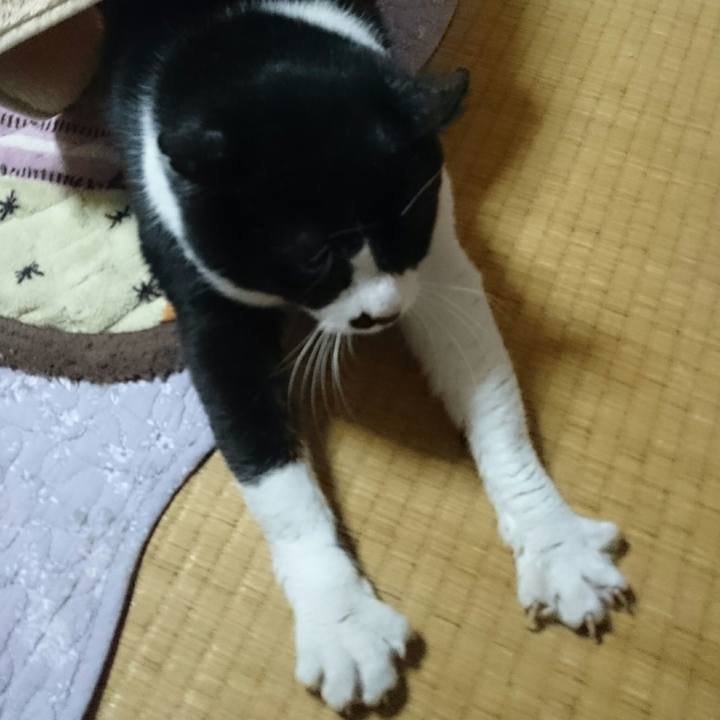 Da1d72d2 b52d 4ac2 bc7e 29fea7497ff7