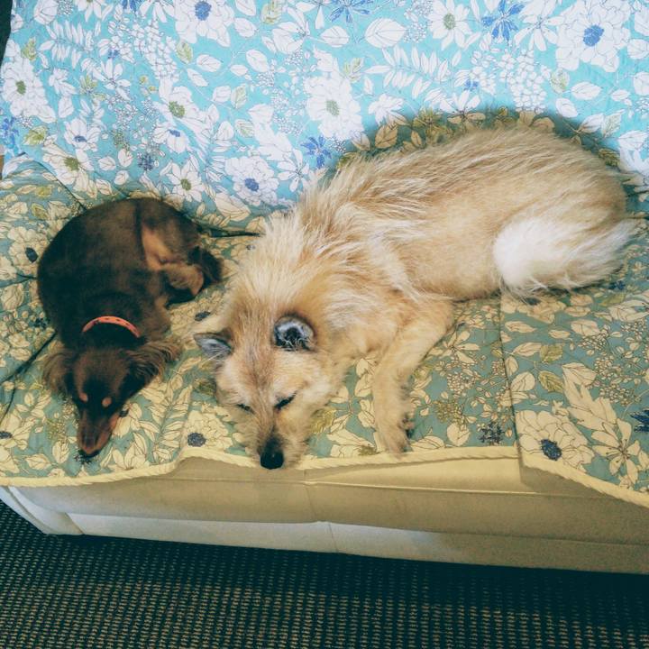 Da1dedd5 305c 4104 89a0 c21d1e737a88