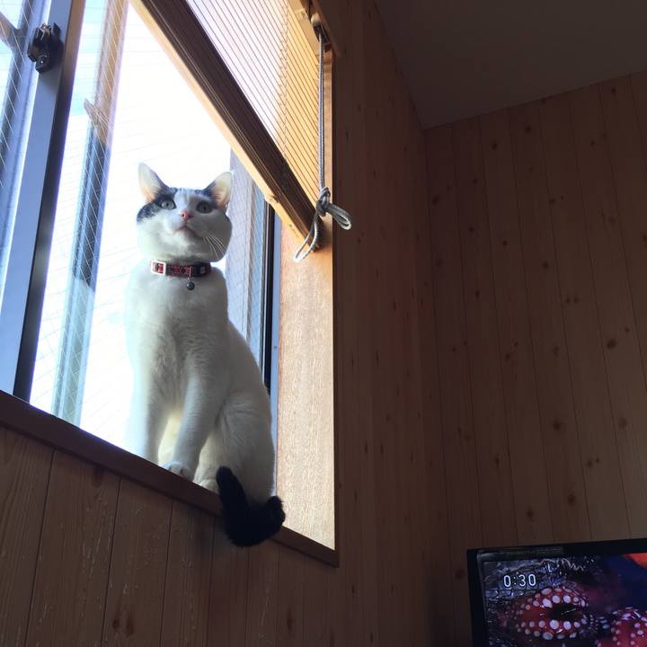 Da1e4547 da5e 40e1 ab27 c52336f4c46a