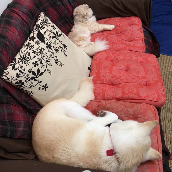 Da1ea5ff 4826 4386 9c04 2269bffd7e4e