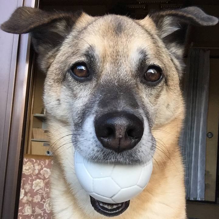 Da1ee4f7 354c 4e0d 9af7 2cb3f01b16ef